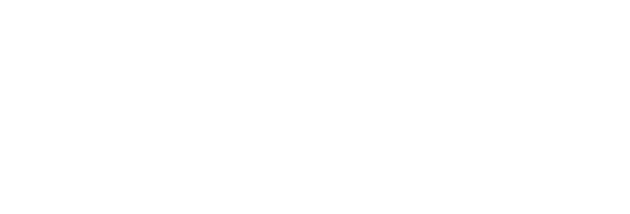 RSP Performance